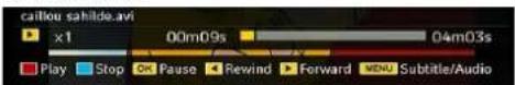 GRANDIN LV32W10 - Video Playback (optional) - 1