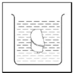 Simple line drawing of a submerged object in a beaker with liquid (no text or symbols)