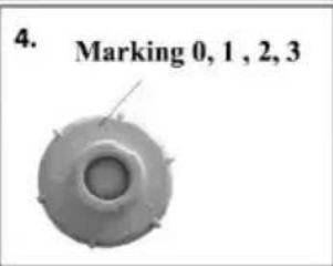 4. Marking 0, 1, 2, 3