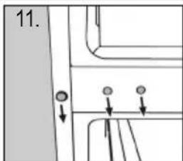 11.