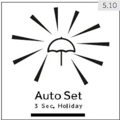 5,10 Auto Set 3 Sec. Holiday