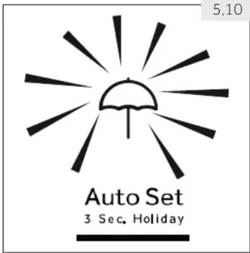 5,10 Auto Set 3 Sec. Holiday
