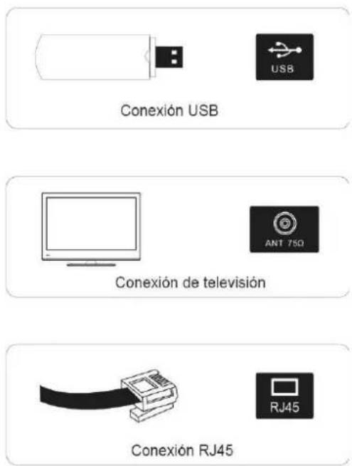 Grunkel LED-554K SMT - Terminales del televisor - 15