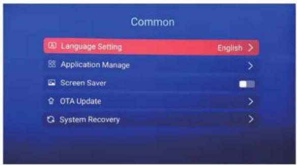 Common Language Setting English > Application Manage > Screen Saver OTA Update > System Recovery >