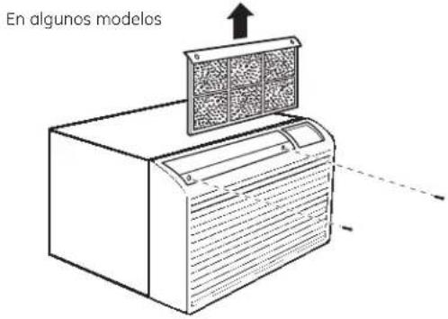 En algunos modelos