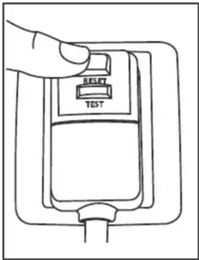 RESET TEST