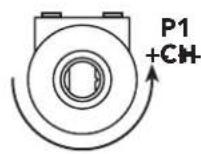 FERROLI Tempra 30 - Adjustment potentiometers - 3