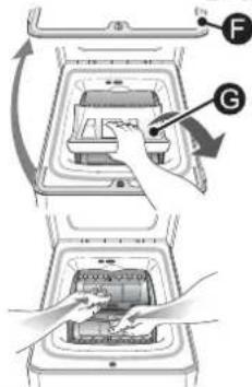 EDESA ZEN-LT1006 - Importante: - 2