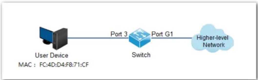Hikvision DS-3E1326P-E - Networking Diagram - 1