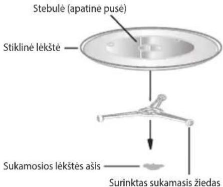 Stebulė (apatinė pusė) Stiklinė lėkštė Sukamosios lėkštės ašis Surinktas sukamasis žiedas