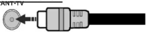 ANT-IV