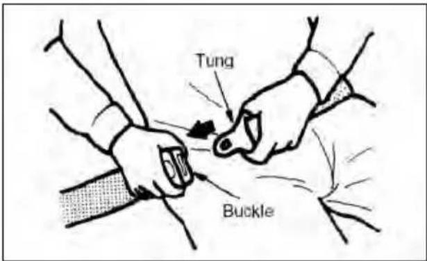 Tung Buckle