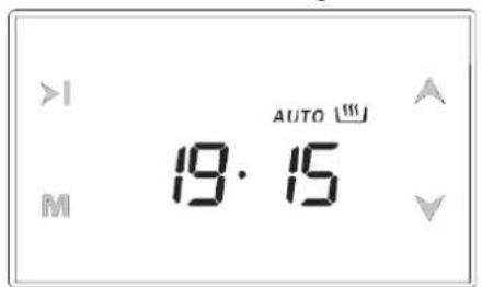 AUTO 19·15 M