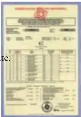 Scanned document with Chinese text, tables, and a red seal stamp, likely a form or official record.