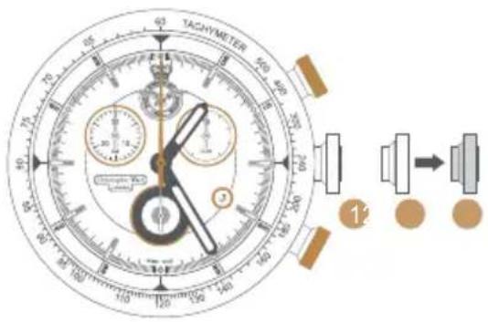 TAGNIMETER 12