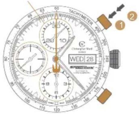TACHYMETER Chenopict Word WED 28