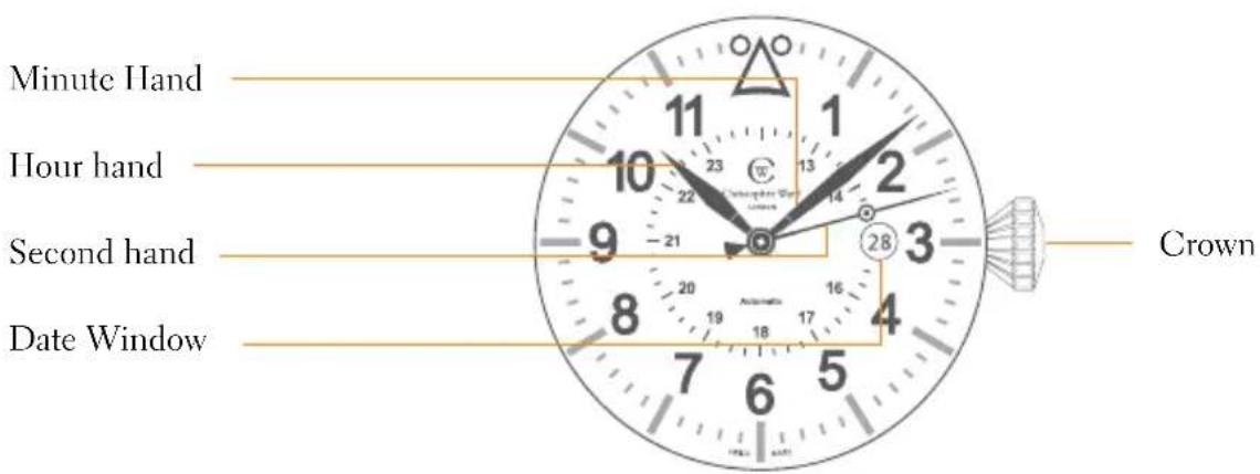 Minute Hand Hour hand Second hand Date Window Crown
