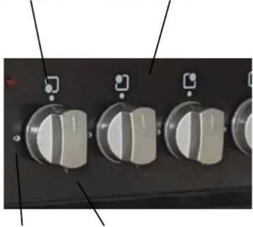 BUSH BCY100DFB - Flame failure device: - 1