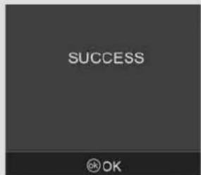 SUCCESS OK