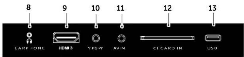8 EARPHONE 9 HDMI 3 10 Y Pb Pr 11 AV IN 12 CI CARD IN 13 USB