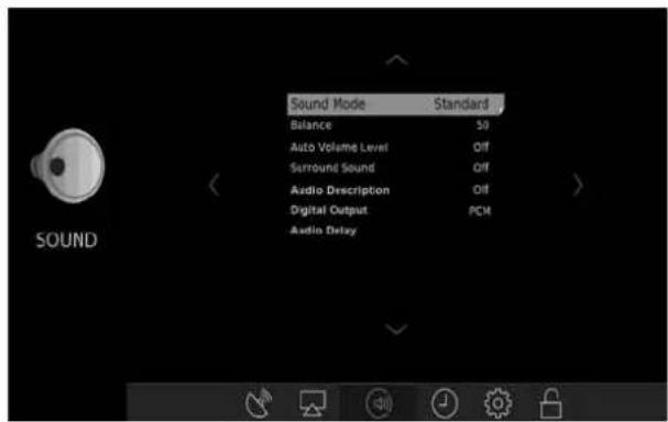 Sound Mode Standard Balance 50 Auto Volume Level Off Surround Sound Off Audio Description Off Digital Output PCM Audio Delay