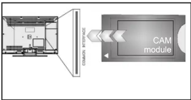 BUSH DLED40265T2S - IMPORTANT: Insert or remove the CI module when the TV is SWITCHED OFF. - 2