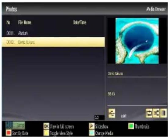 Photos File Name Date/Time 0021 Alturk 0032 Demiz Future Media Browser Demiz Culture 98.63 start Dump OK View in full screen Sideshow Start By Date Google View Style Change Media Thumbnails