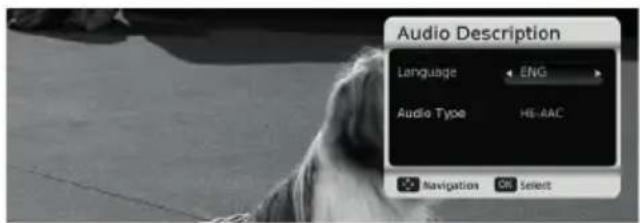 Audio Description Language ENG Audio Type HS-AAC Navigation On Select