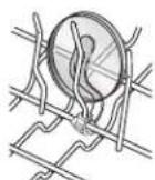 KITCHENAID KUDS01DLSP2 - Attaches pour articles légers SURE-HOLD™ - 1