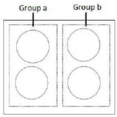 Group a Group b