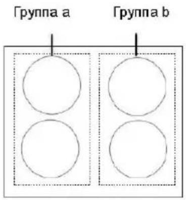Группа a Группа b