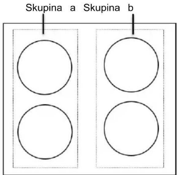 Skupina a Skupina b