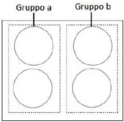 Gruppo a Gruppo b