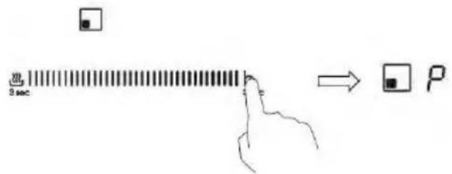 3 sec P