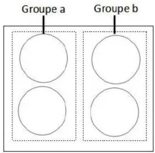 Groupe a Groupe b