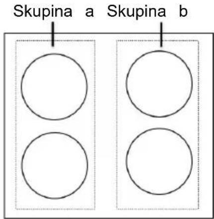 Skupina a Skupina b