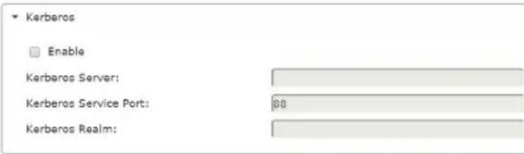 Kerberos Enable Kerberos Server: Kerberos Service Port: 88 Kerberos Realm: