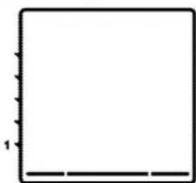 BLOMBERG OEN9480 - Bottom heating - 1