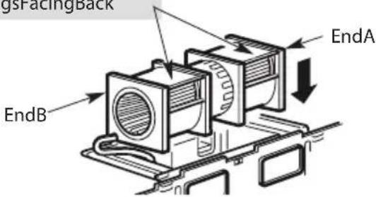 gsFacingBack EndA EndB