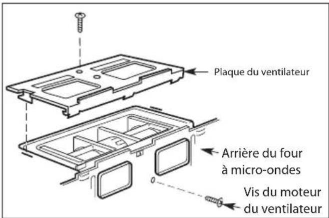 Plaque du ventilateur Arrière du four à micro-ondes Vis du moteur du ventilateur
