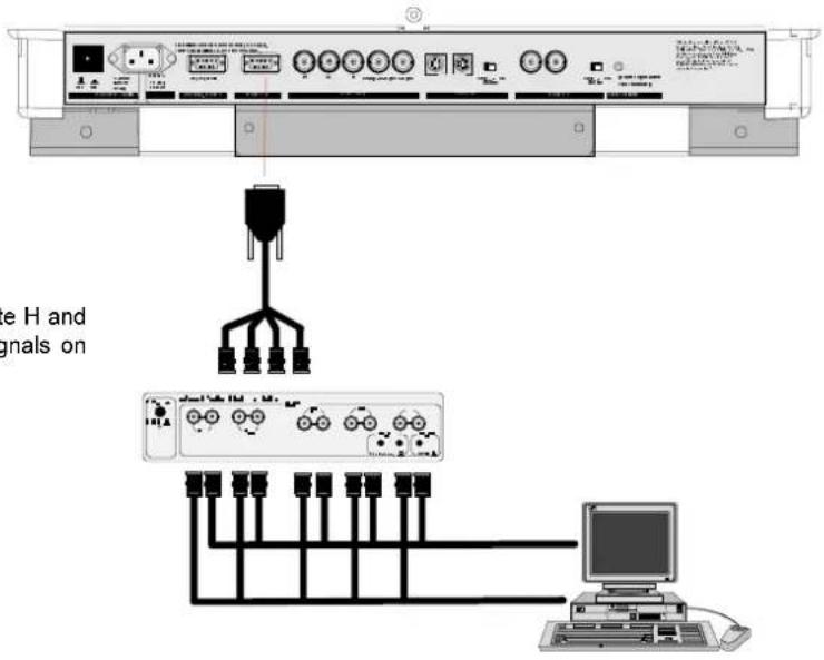 e H and signals on