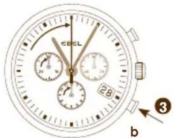 28 cEEL b 3