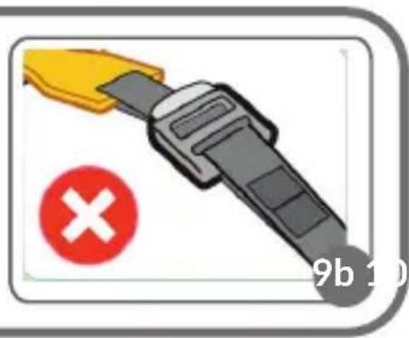 9b 10