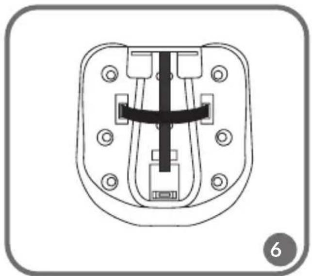 Lionelo Nico - 6