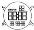 DKNY Soho NY2764 - Zwischenzeit - 1
