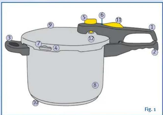 Fig. 1
