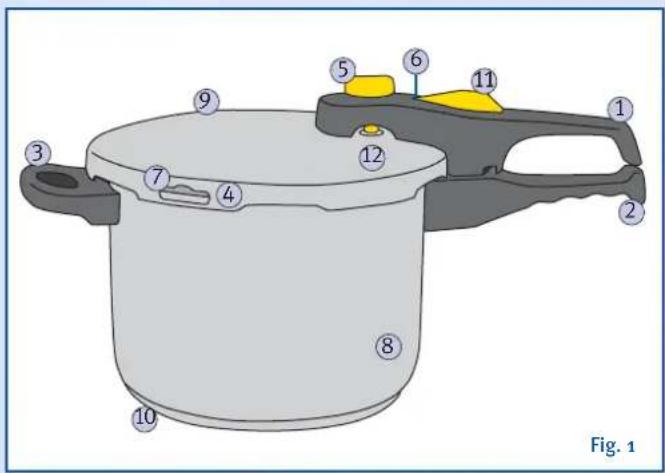 Fig. 1