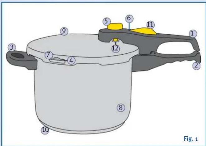 Fig. 1