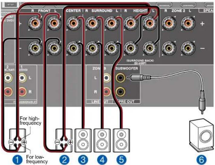 R FRONT L CENTER R SURROUND L R HEIGHT L R ZONE 2 L SPEA ( SURROUND BACK ) (BI-AMP ) 2 BL/SAT 1 DVD L R ASSOUNABLE ZON B SUBWOOFER L R LINE OUT PRE OUT For high- frequency ① For low- frequency ② ③ ④ ⑤ 6