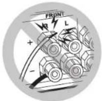 FRONT B L + - -